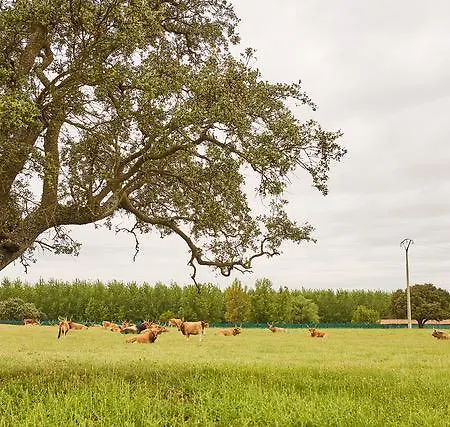 Dehesa La Cenia Hotel